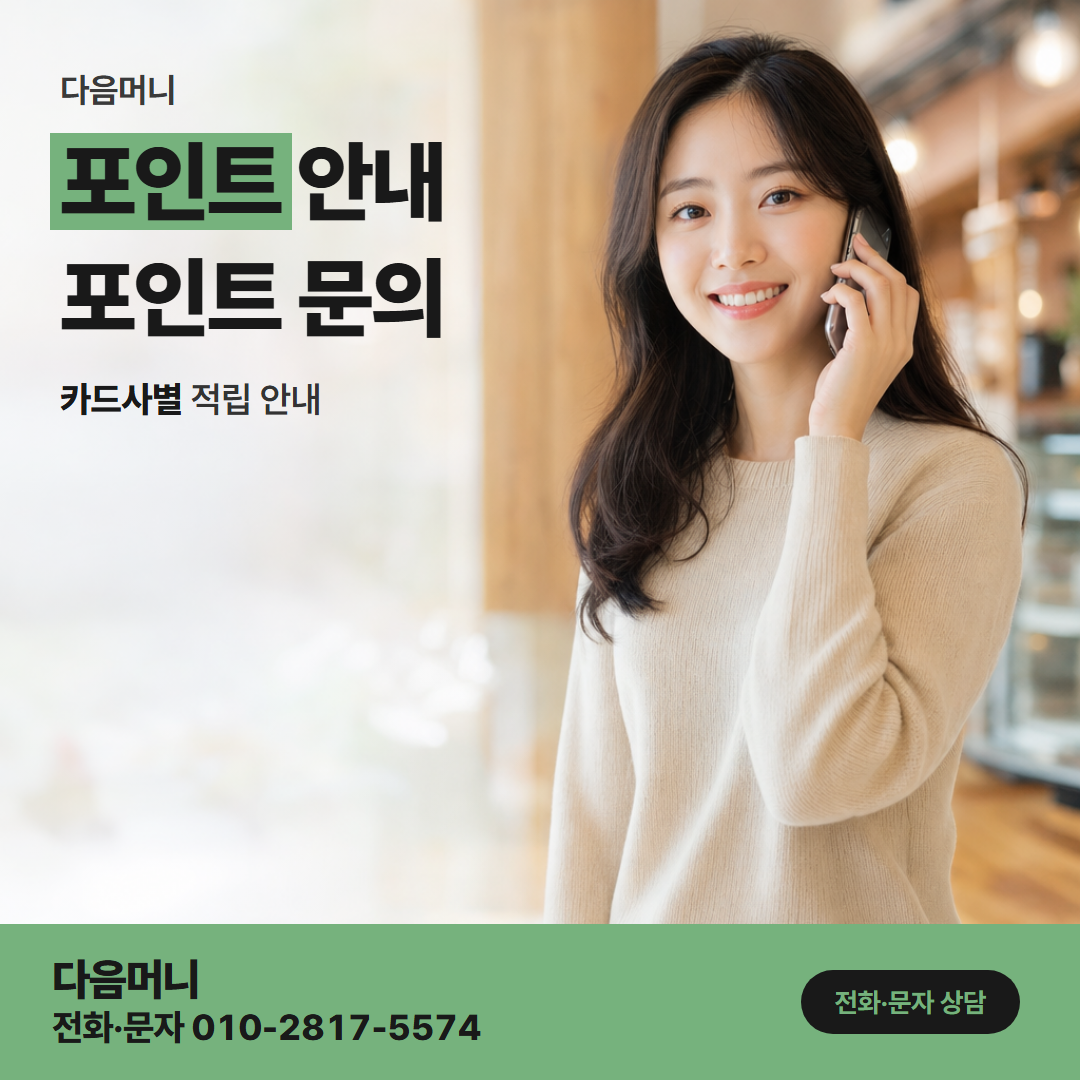 다음머니 부천카드깡 적립 내역